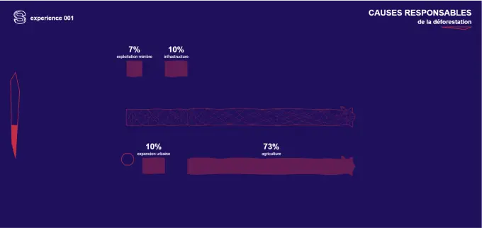 Visuel Quoi du projet Syndesi.