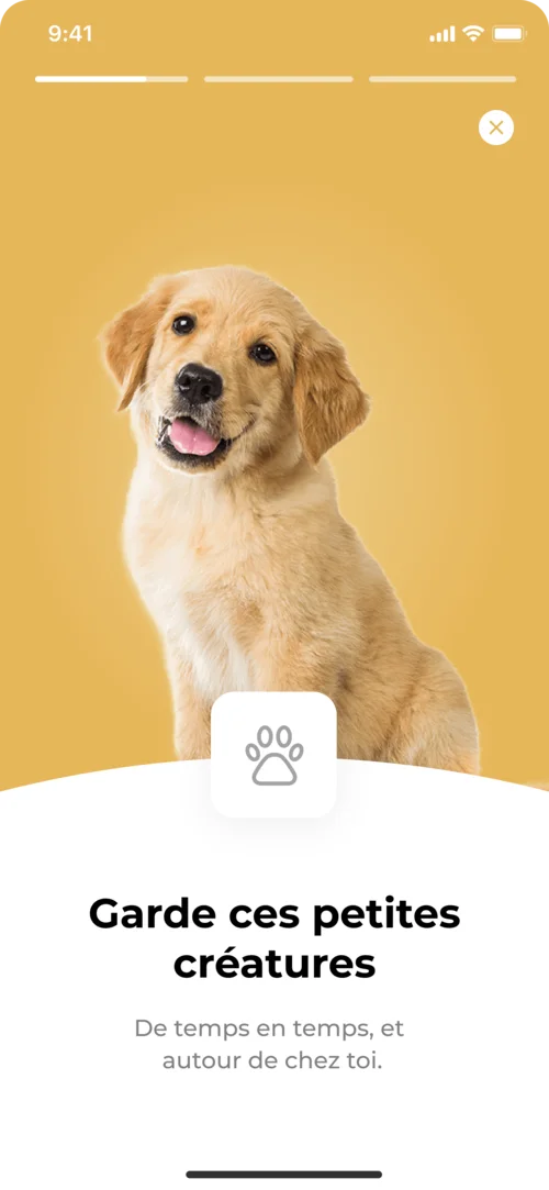 Visuel Point de départ du projet Wooof App